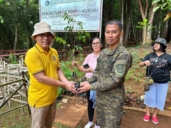 91IB, Local Media Conduct Tree Planting Activity in Aurora